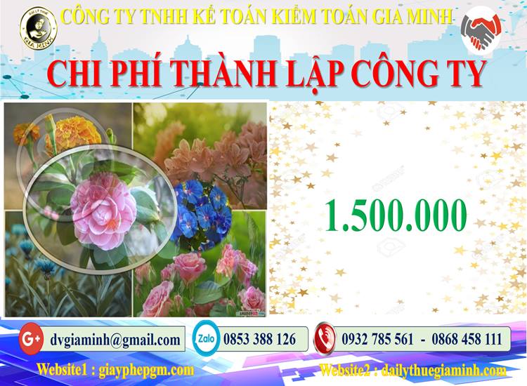 Chi phí thành lập công ty bảo vệ tại Thành phố Hải Phòng