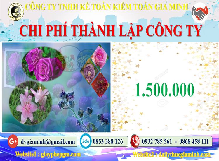 Chi phí thành lập công ty bảo vệ tại Tuyên Quang