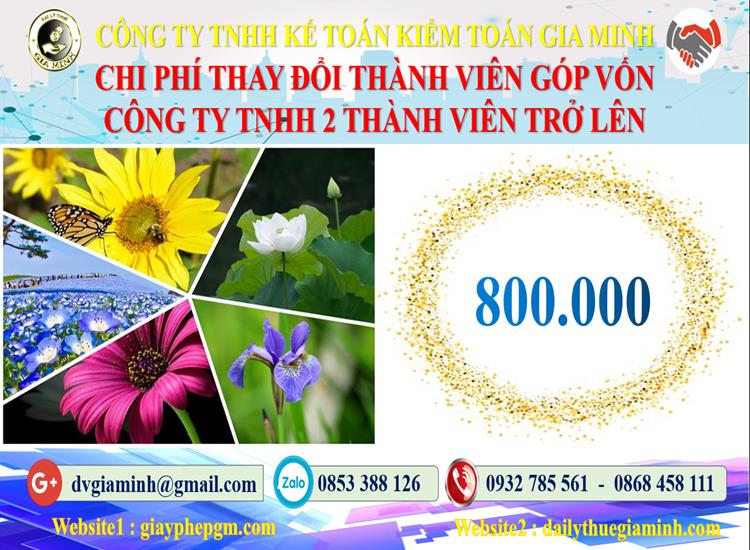 Thay đổi thành viên góp vốn công ty TNHH 2 thành viên Đà Nẵng 5 Bảng giá thay đổi thành viên góp vốn công ty TNHH 2 thành viên trở lên
