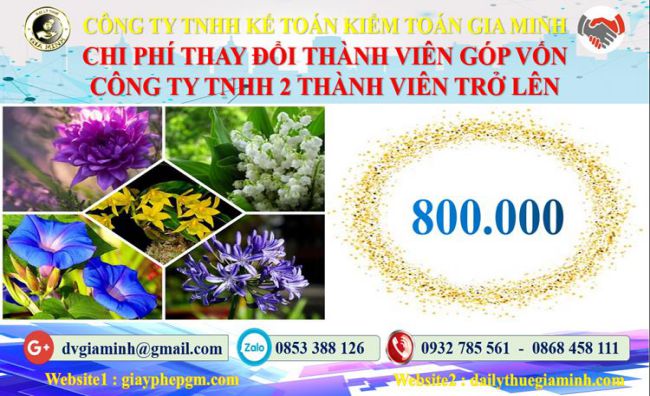 Bảng giá thay đổi thành viên góp vốn công ty TNHH 2 thành viên trở lên