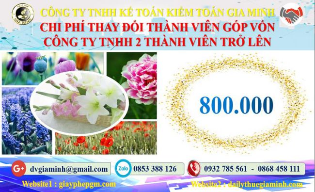 Thay đổi thành viên góp vốn công ty TNHH 2 thành viên Huyện Sóc Sơn 5 Bảng giá thay đổi thành viên góp vốn công ty TNHH 2 thành viên trở lên