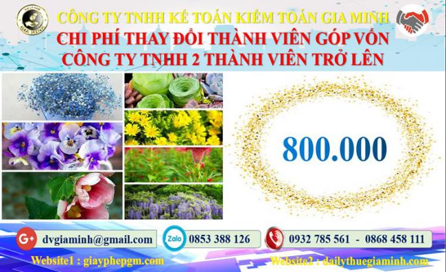 Thay đổi thành viên góp vốn công ty TNHH 2 thành viên Huyện Từ Liêm 5 Bảng giá thay đổi thành viên góp vốn công ty TNHH 2 thành viên trở lên