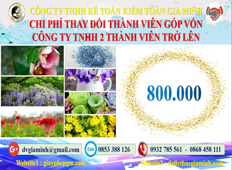 Thay đổi thành viên góp vốn công ty TNHH 2 thành viên Quận 6 5 Bảng giá thay đổi thành viên góp vốn công ty TNHH 2 thành viên trở lên