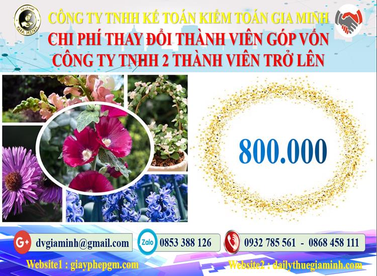 Thay đổi thành viên góp vốn công ty TNHH 2 thành viên Quận 8 5 Bảng giá thay đổi thành viên góp vốn công ty TNHH 2 thành viên trở lên