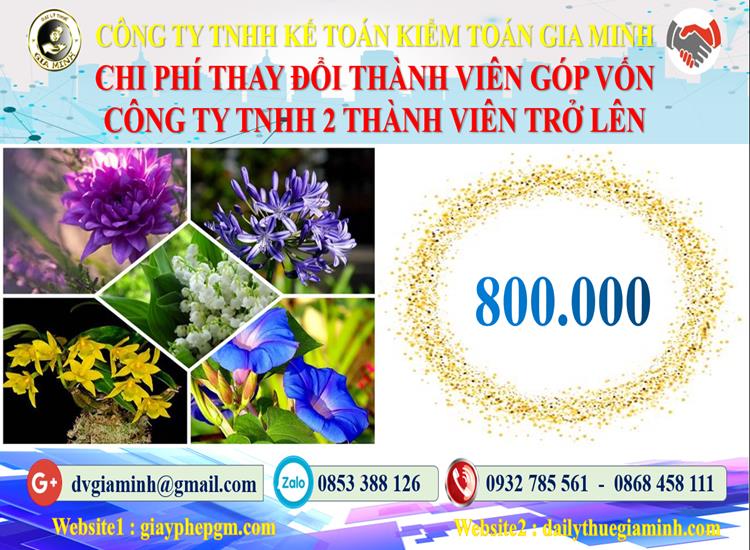 Thay đổi thành viên góp vốn công ty TNHH 2 thành viên Quận Đồ Sơn 5 Bảng giá thay đổi thành viên góp vốn công ty TNHH 2 thành viên trở lên