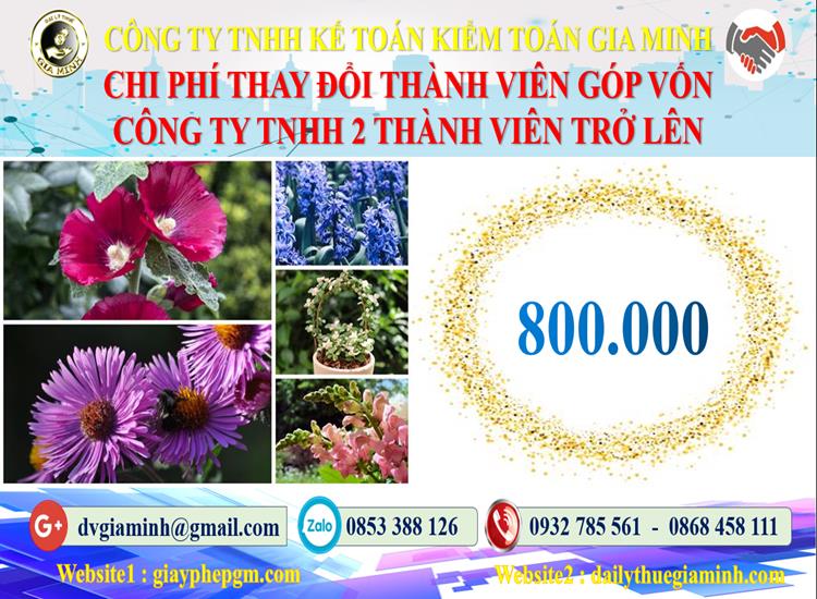 Thay đổi thành viên góp vốn công ty TNHH 2 thành viên Quận Đống Đa 5 Bảng giá thay đổi thành viên góp vốn công ty TNHH 2 thành viên trở lên