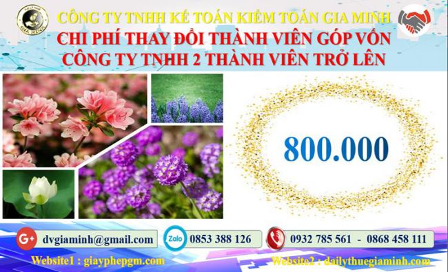 Thay đổi thành viên góp vốn công ty TNHH 2 thành viên Quận Hải An 5 Bảng giá thay đổi thành viên góp vốn công ty TNHH 2 thành viên trở lên