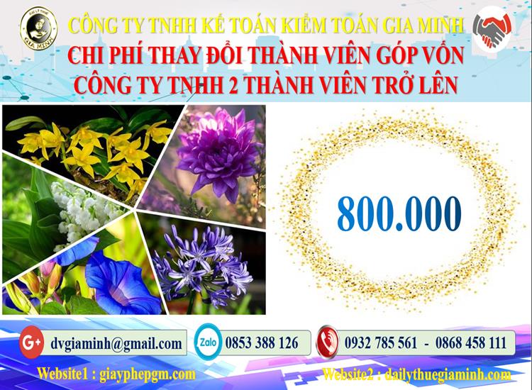 Thay đổi thành viên góp vốn công ty TNHH 2 thành viên Quận Hồng Bàng 5 Bảng giá thay đổi thành viên góp vốn công ty TNHH 2 thành viên trở lên