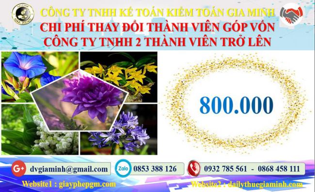 Thay đổi thành viên góp vốn công ty TNHH 2 thành viên Quận Nam Từ Liêm 9 Bảng giá thay đổi thành viên góp vốn công ty TNHH 2 thành viên trở lên