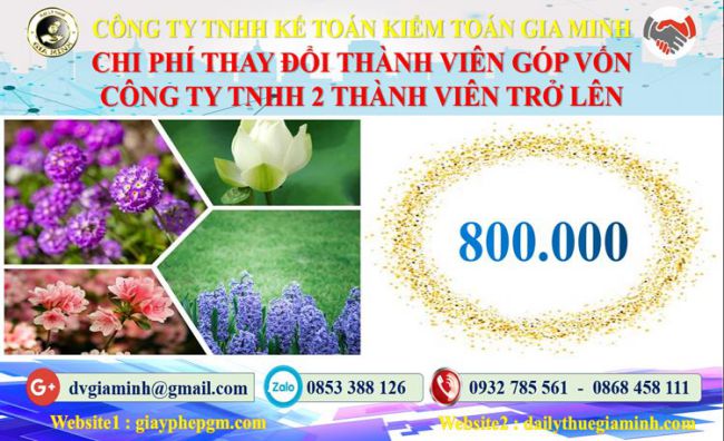 Thay đổi thành viên góp vốn công ty TNHH 2 thành viên Quận Ô Môn 5 Bảng giá thay đổi thành viên góp vốn công ty TNHH 2 thành viên trở lên