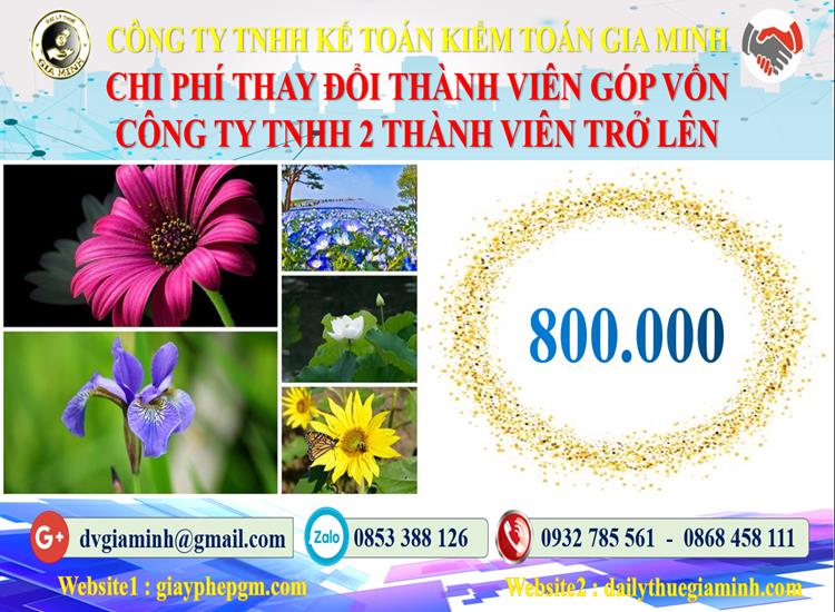 Thay đổi thành viên góp vốn công ty TNHH 2 thành viên Quận Thanh Xuân 5 Bảng giá thay đổi thành viên góp vốn công ty TNHH 2 thành viên trở lên