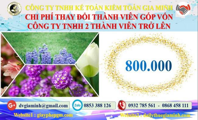 Thay đổi thành viên góp vốn công ty TNHH 2 thành viên TP Cần Thơ 5 Bảng giá thay đổi thành viên góp vốn công ty TNHH 2 thành viên trở lên