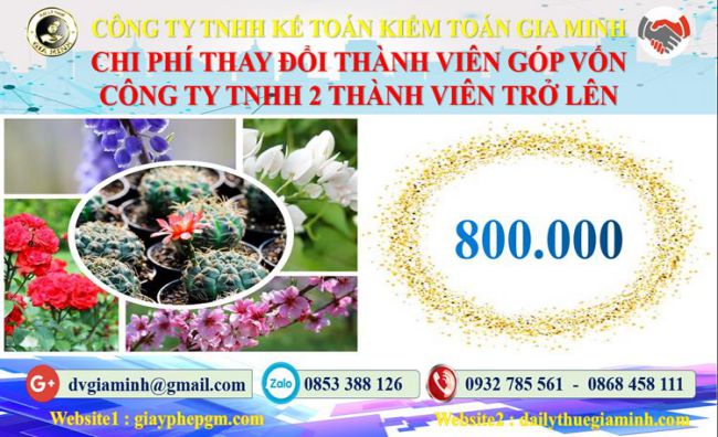 Thay đổi thành viên góp vốn công ty TNHH 2 thành viên TT Huế 5 Bảng giá thay đổi thành viên góp vốn công ty TNHH 2 thành viên trở lên