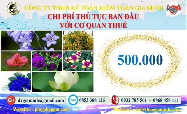 Chi phí thủ tục ban đầu với cơ quan thuế tại Bắc Giang