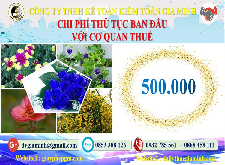 Chi phí thủ tục ban đầu với cơ quan thuế tại Cần Thơ