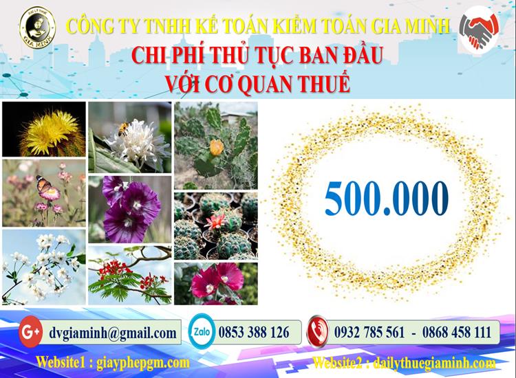 Chi phí thủ tục ban đầu với cơ quan thuế tại Điện Biên