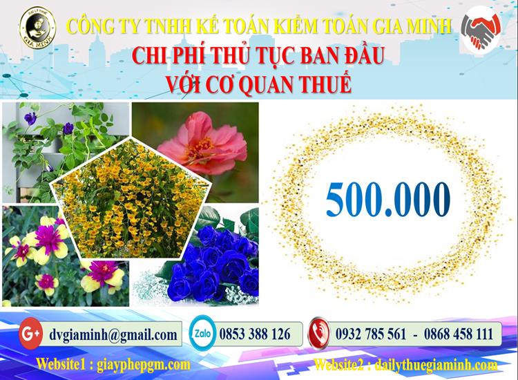 Chi phí thủ tục ban đầu với cơ quan thuế tại Gia Lai