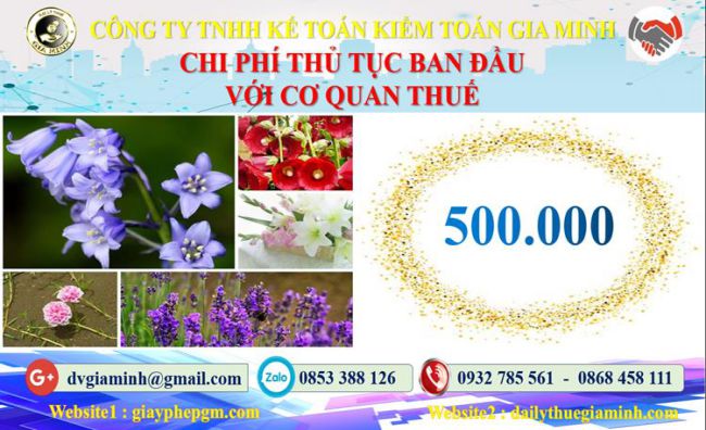 Chi phí thủ tục ban đầu với cơ quan thuế tại Hòa Bình