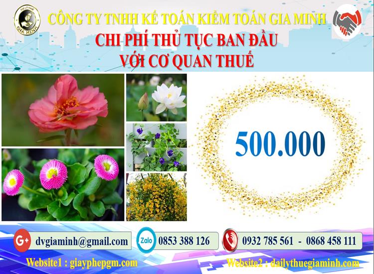 Chi phí thủ tục ban đầu với cơ quan thuế tại Huyện Đan Phượng