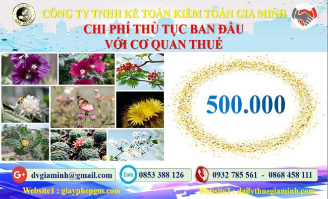 Chi phí thủ tục ban đầu với cơ quan thuế tại Huyện Đông Anh