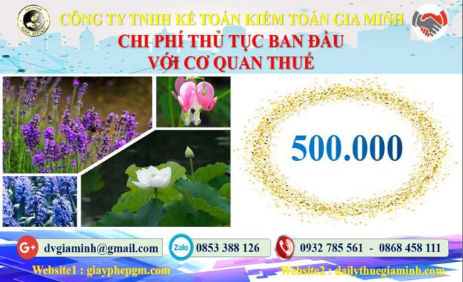 Chi phí thủ tục ban đầu với cơ quan thuế tại Huyện Gia Lâm