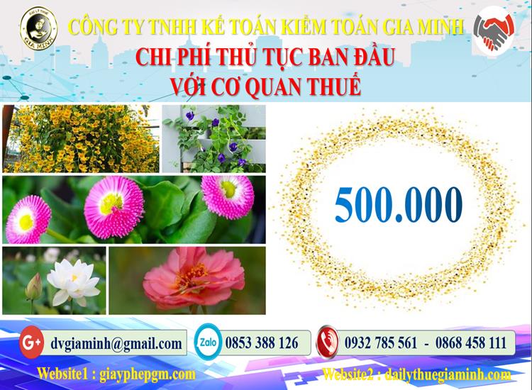 Chi phí thủ tục ban đầu với cơ quan thuế tại Huyện Phú Xuyên
