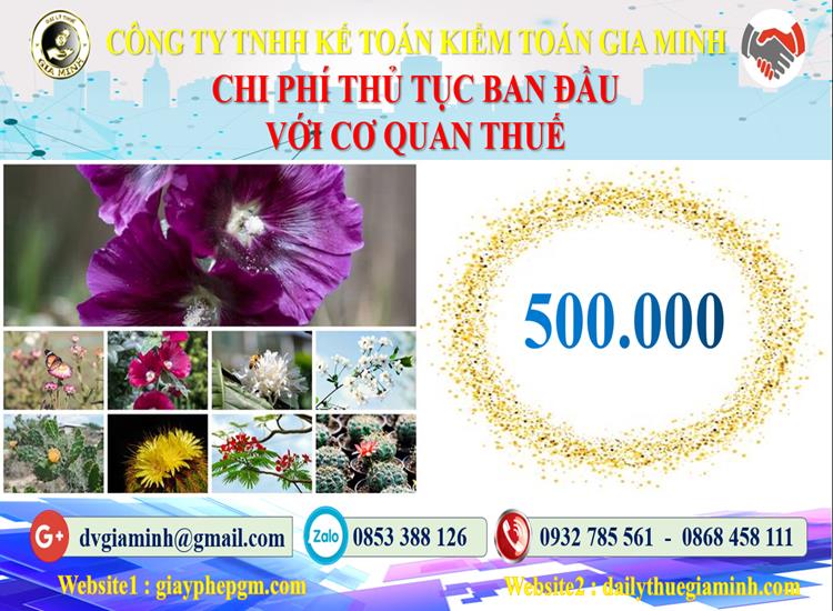 Chi phí thủ tục ban đầu với cơ quan thuế tại Huyện Phúc Thọ