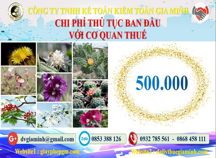 Chi phí thủ tục ban đầu với cơ quan thuế tại Huyện Sóc Sơn