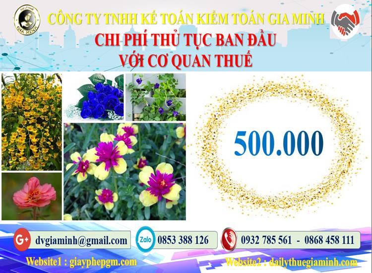 Chi phí thủ tục ban đầu với cơ quan thuế tại Huyện Vĩnh Thạnh