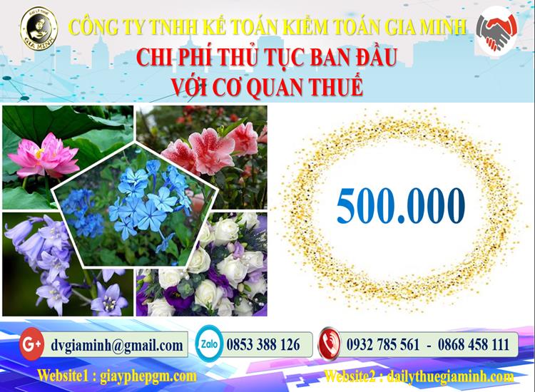 Chi phí thủ tục ban đầu với cơ quan thuế tại Kiên Giang
