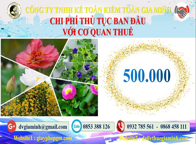 Chi phí thủ tục ban đầu với cơ quan thuế tại Lai Châu