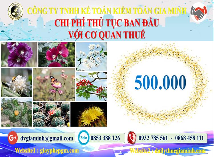 Chi phí thủ tục ban đầu với cơ quan thuế tại Lâm Đồng
