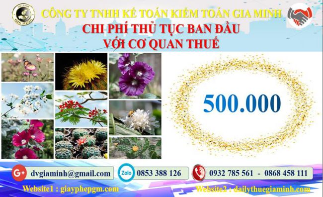 Chi phí thủ tục ban đầu với cơ quan thuế tại Nam Định