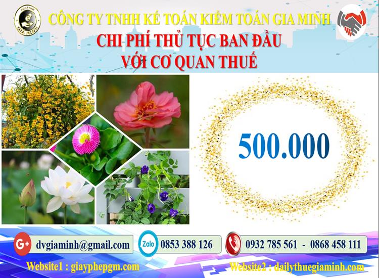 Chi phí thủ tục ban đầu với cơ quan thuế tại Ninh Bình