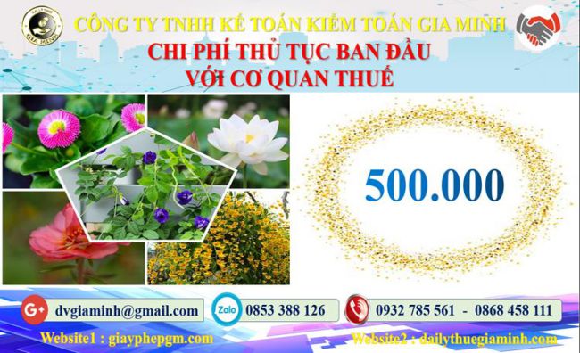 Chi phí thủ tục ban đầu với cơ quan thuế tại Quận 10
