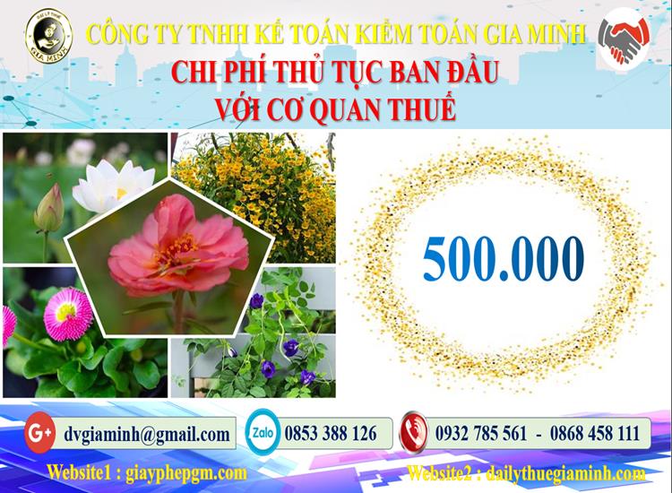 Chi phí thủ tục ban đầu với cơ quan thuế tại Quận 6