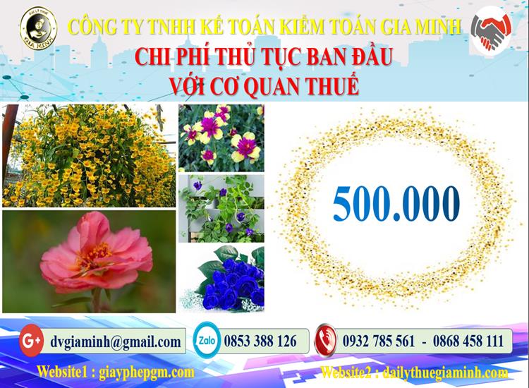 Chi phí thủ tục ban đầu với cơ quan thuế tại Quận 7
