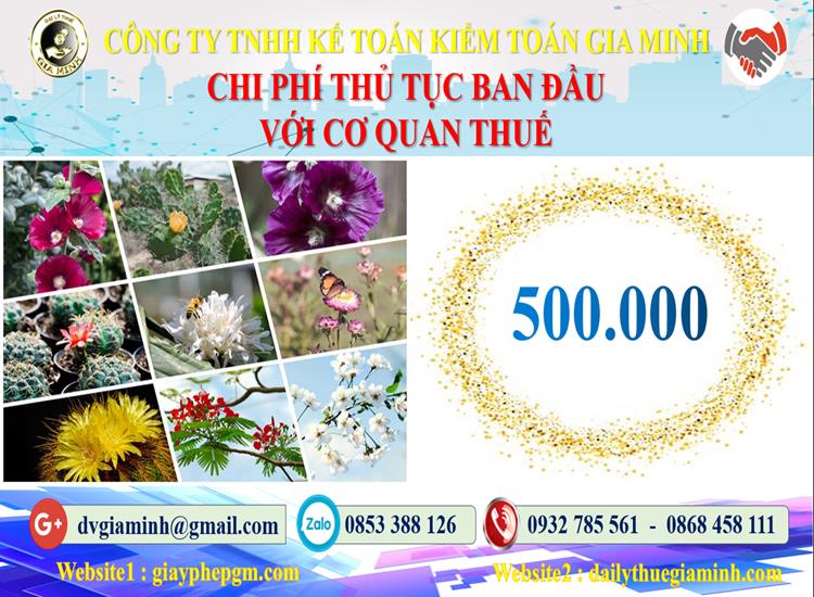 Chi phí thủ tục ban đầu với cơ quan thuế tại Quận 9