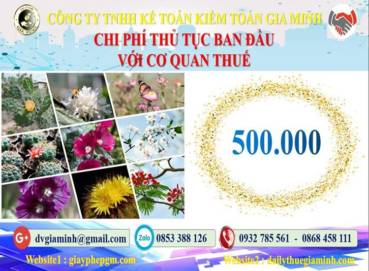 Chi phí thủ tục ban đầu với cơ quan thuế tại Quận Bình Tân
