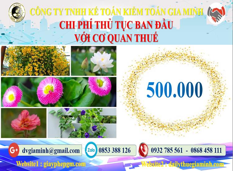 Chi phí thủ tục ban đầu với cơ quan thuế tại Quận Bình Thạnh