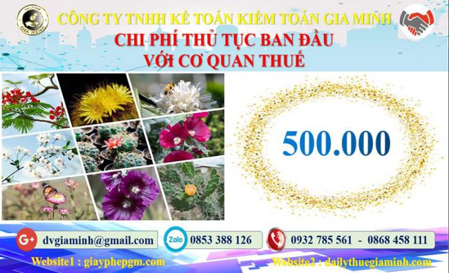 Chi phí thủ tục ban đầu với cơ quan thuế tại Quận Đống Đa