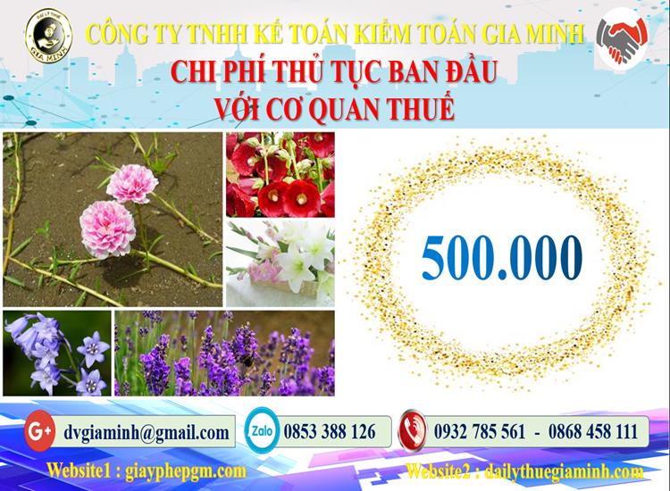 Chi phí thủ tục ban đầu với cơ quan thuế tại Quận Hai Bà Trưng