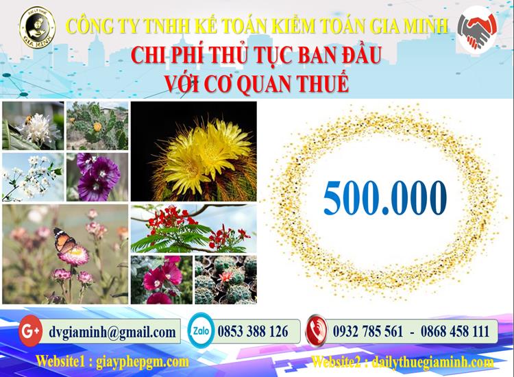 Chi phí thủ tục ban đầu với cơ quan thuế tại Quận Hoàng Mai