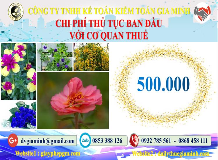 Chi phí thủ tục ban đầu với cơ quan thuế tại Quận Ô Môn 