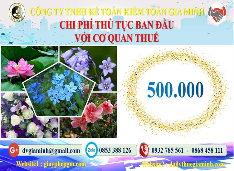 Chi phí thủ tục ban đầu với cơ quan thuế tại Quận Tân Bình