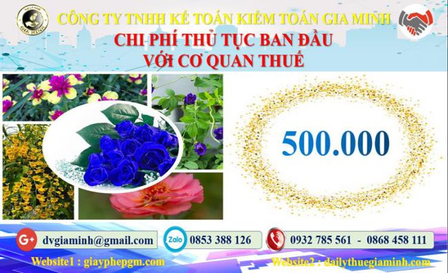 Chi phí thủ tục ban đầu với cơ quan thuế tại Quận Tân Phú