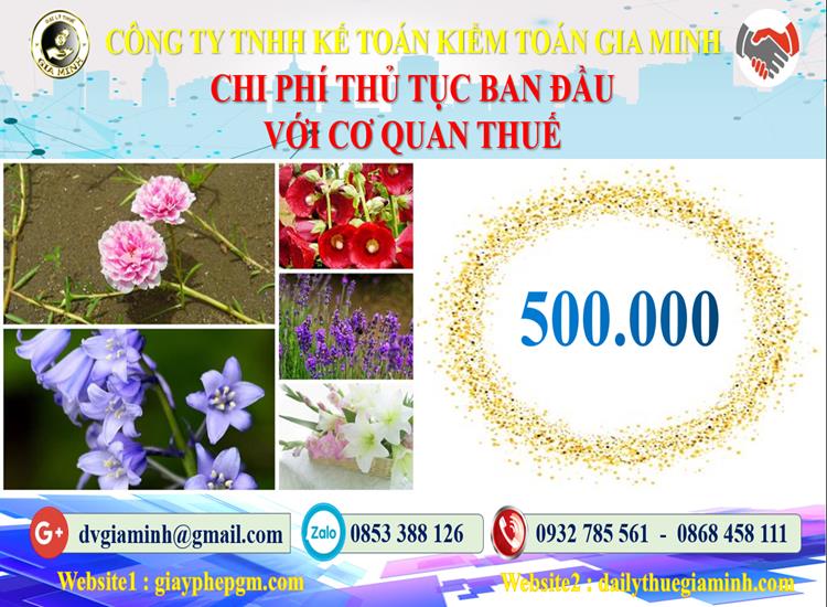 Chi phí thủ tục ban đầu với cơ quan thuế tại Quận Thủ Đức