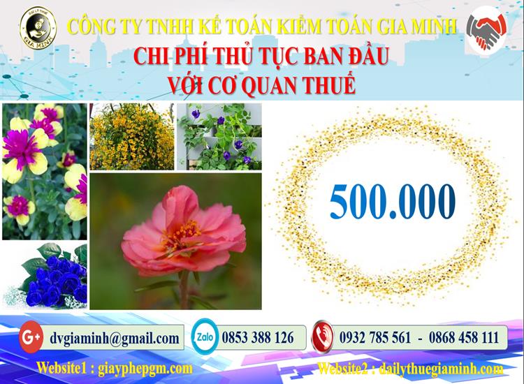 Chi phí thủ tục ban đầu với cơ quan thuế tại Thái Bình