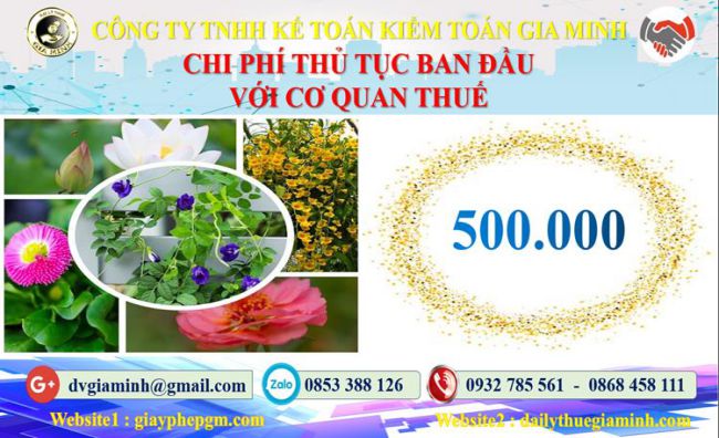 Chi phí thủ tục ban đầu với cơ quan thuế tại Thành phố Hải Phòng