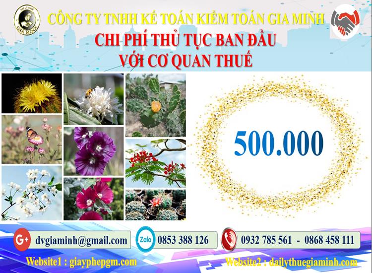 Chi phí thủ tục ban đầu với cơ quan thuế tại Thành phố Hồ Chí Minh